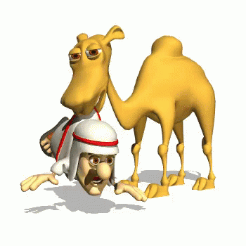 camel funny